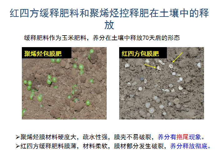 91香蕉视频污污污緩釋肥釋放肥效展示