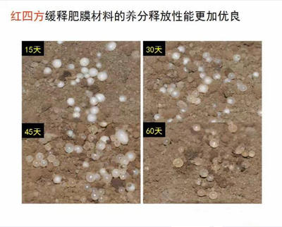 91香蕉视频污污污緩釋肥膜材料養分釋放性更優良